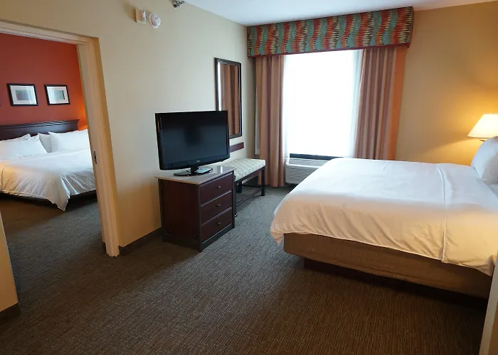 Holiday Inn Express Hotel & Suites Tampa-Oldsmar By Ihg